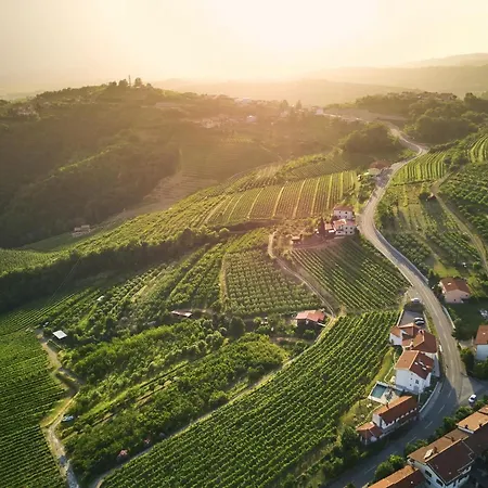 Peterc Vineyard Estate فندق مبيت وإفطار