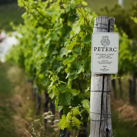 Bed & Breakfast Peterc Vineyard Estate