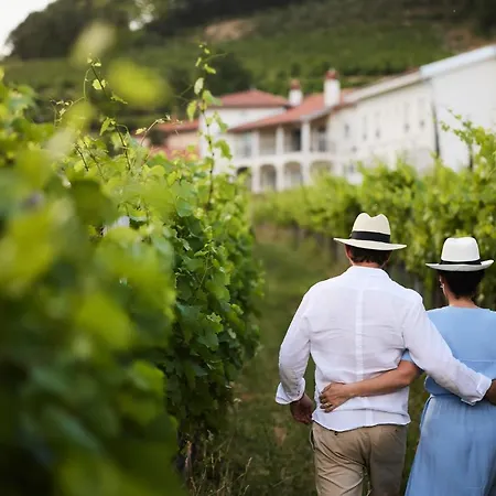 Peterc Vineyard Estate