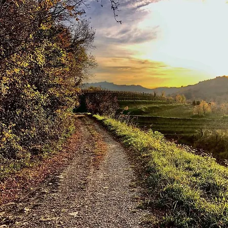 Peterc Vineyard Estate