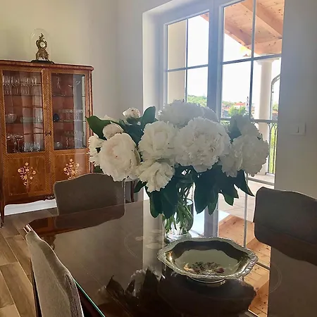 Peterc Vineyard Estate Bed and breakfast Kojsko