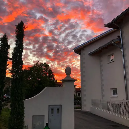 Peterc Vineyard Estate Kojsko