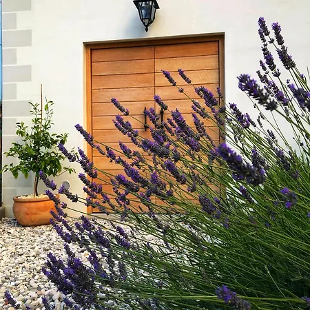 Peterc Vineyard Estate Bed and breakfast