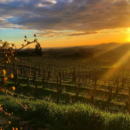 Nočitev z zajtrkom Peterc Vineyard Estate Kojsko