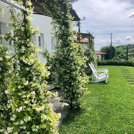 Peterc Vineyard Estate Kojsko