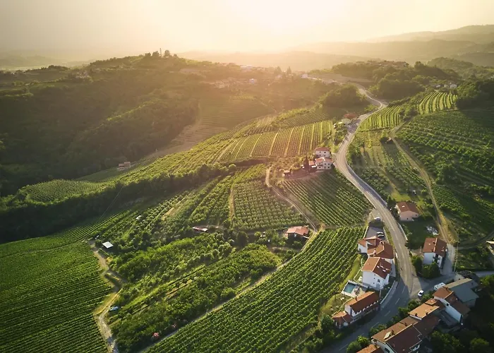 Peterc Vineyard Estate Frühstückspension