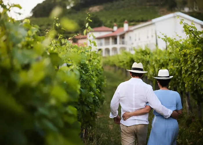 Peterc Vineyard Estate