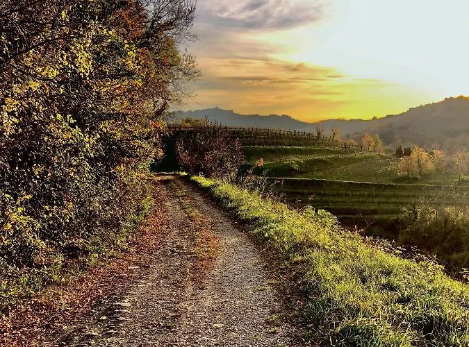 Peterc Vineyard Estate