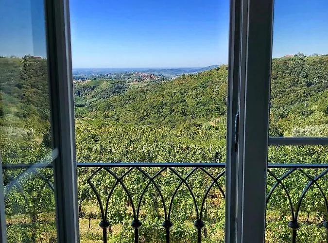 Nočitev z zajtrkom Peterc Vineyard Estate