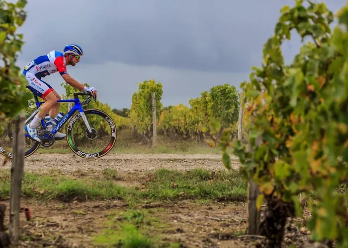 Peterc Vineyard Estate 4*