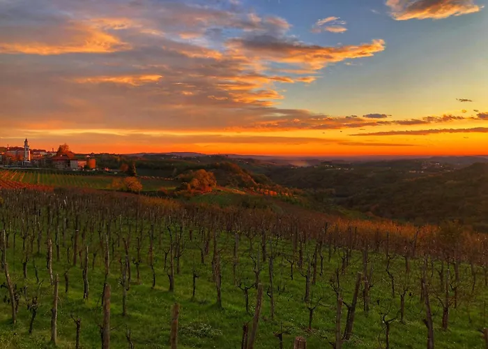 Peterc Vineyard Estate 4*