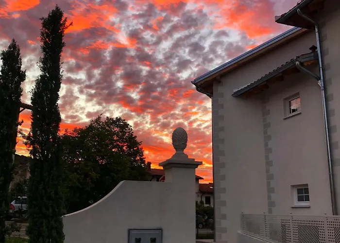 Peterc Vineyard Estate Kojsko