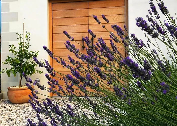 Peterc Vineyard Estate Frühstückspension