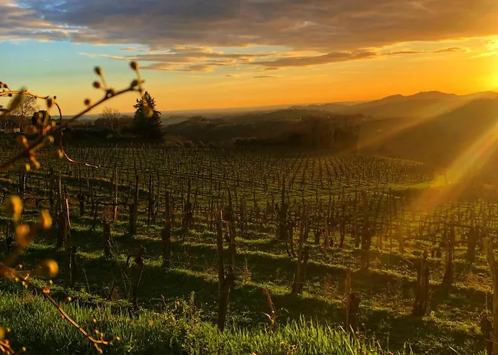 Frühstückspension Peterc Vineyard Estate Kojsko