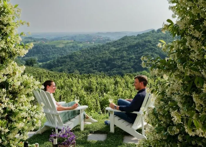 Nočitev z zajtrkom Peterc Vineyard Estate 4*